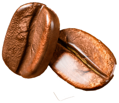 bean
